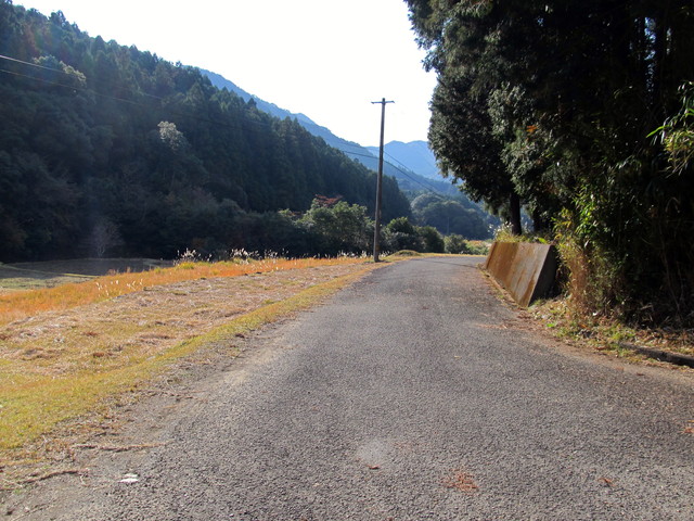 t20_252.jpg