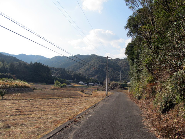 t20_257.jpg