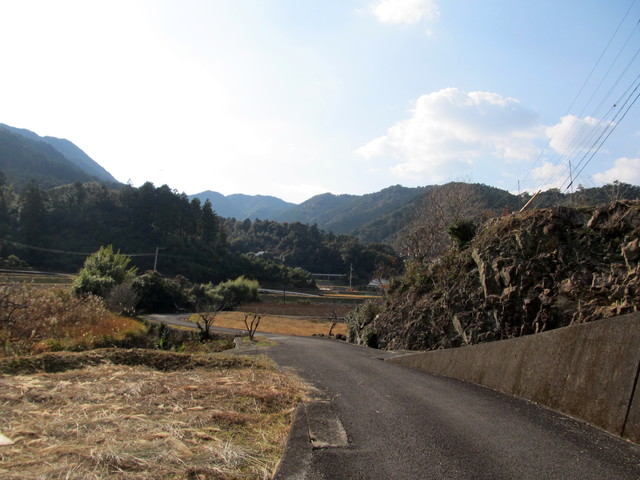t20_258.jpg