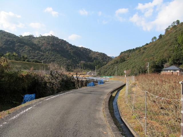 t20_259.jpg