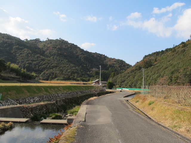 t20_260.jpg