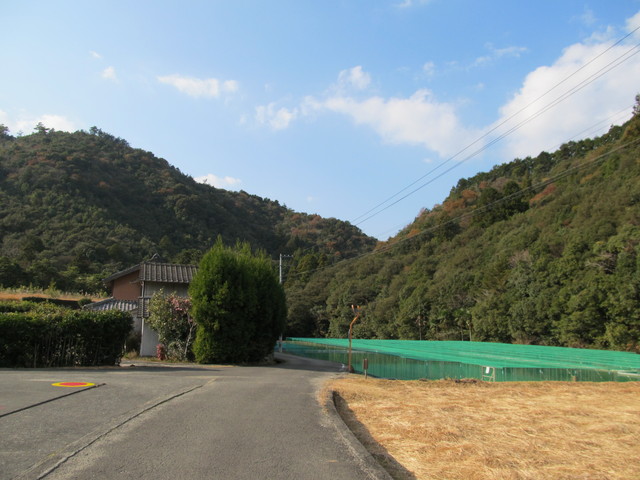 t20_261.jpg