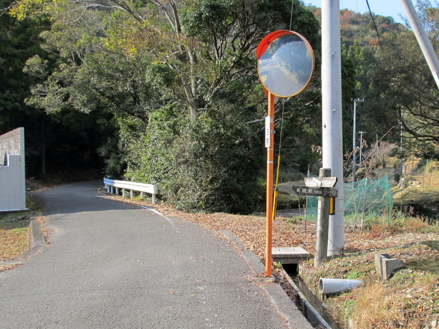 t20_262.jpg
