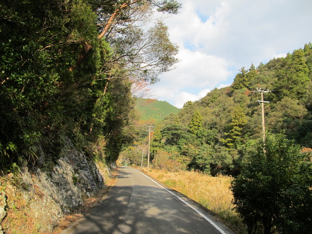 t20_265.jpg