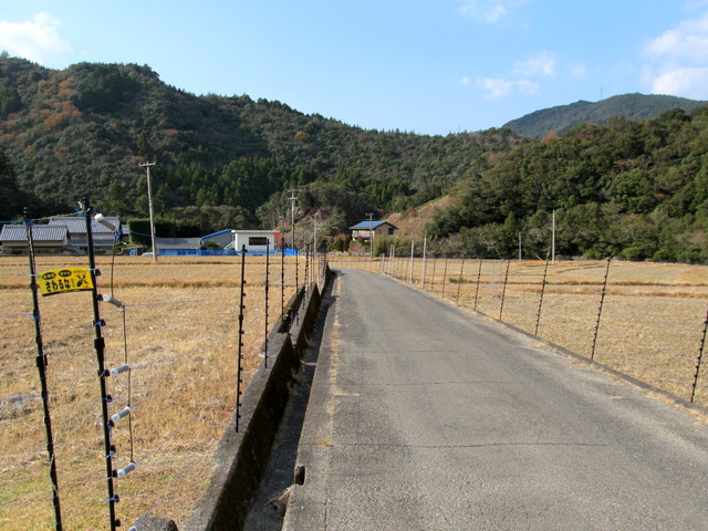 t20_267.jpg
