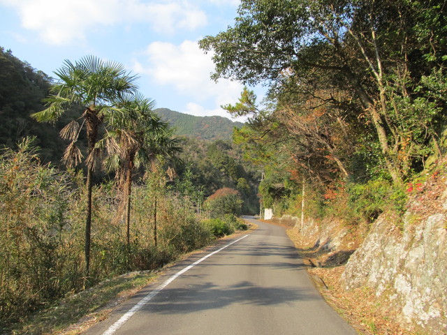 t20_270.jpg