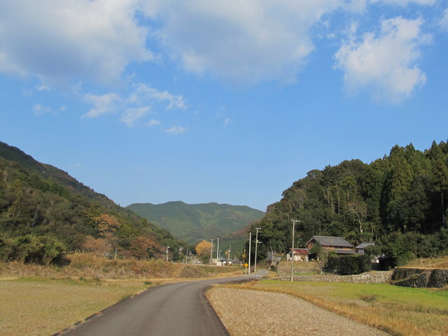 t20_272.jpg