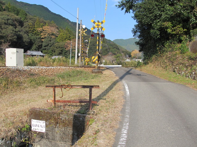 t20_273.jpg