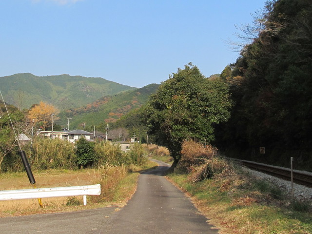 t20_275.jpg