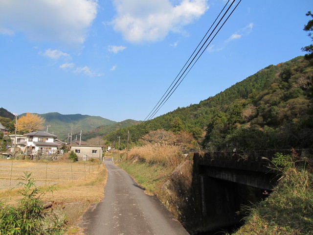 t20_276.jpg