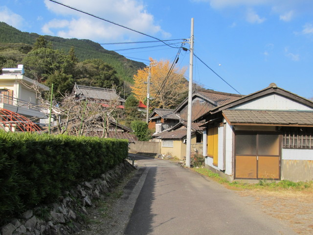 t20_277.jpg