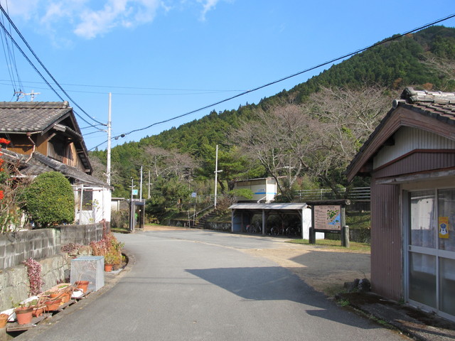 t20_278.jpg