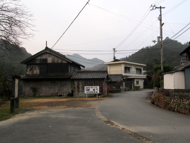 t21_002.jpg