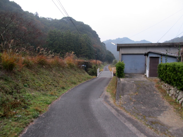 t21_005.jpg