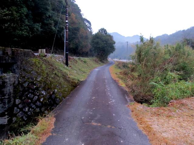 t21_006.jpg