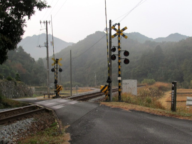 t21_007.jpg