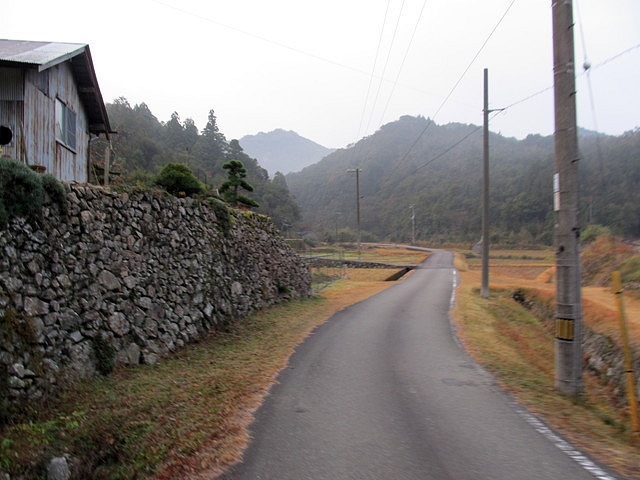 t21_008.jpg