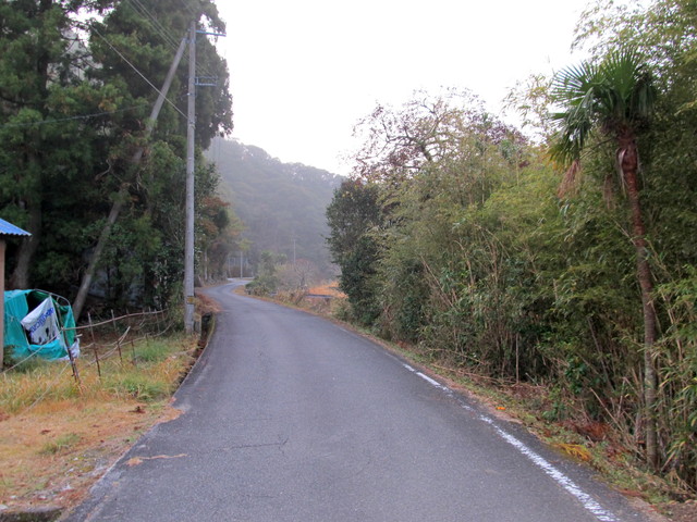 t21_009.jpg