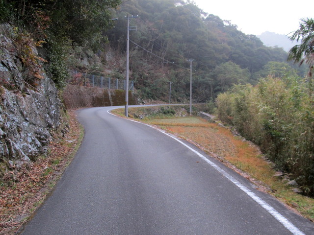 t21_010.jpg