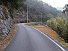t21_010_thumb.jpg