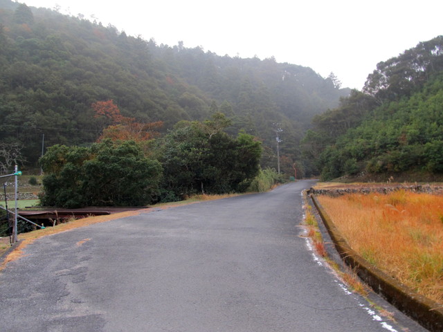 t21_014.jpg