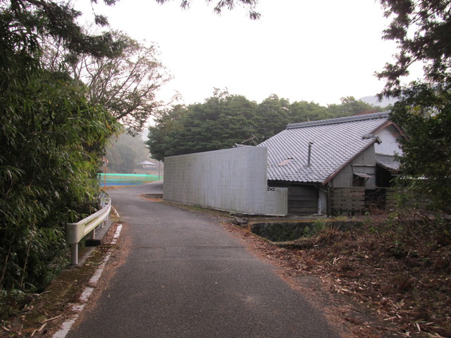 t21_017.jpg