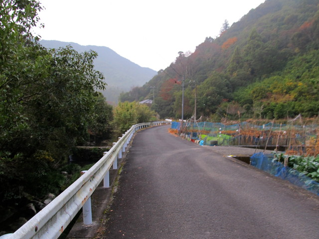 t21_020.jpg