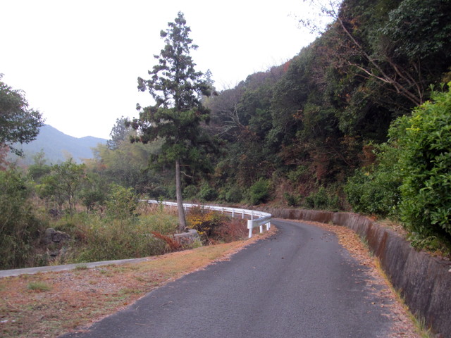 t21_023.jpg