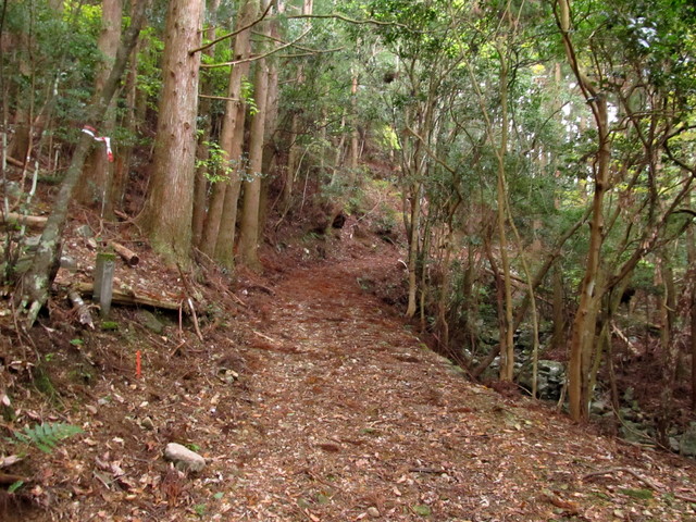 t21_032.jpg