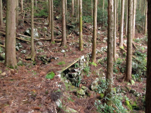 t21_038.jpg
