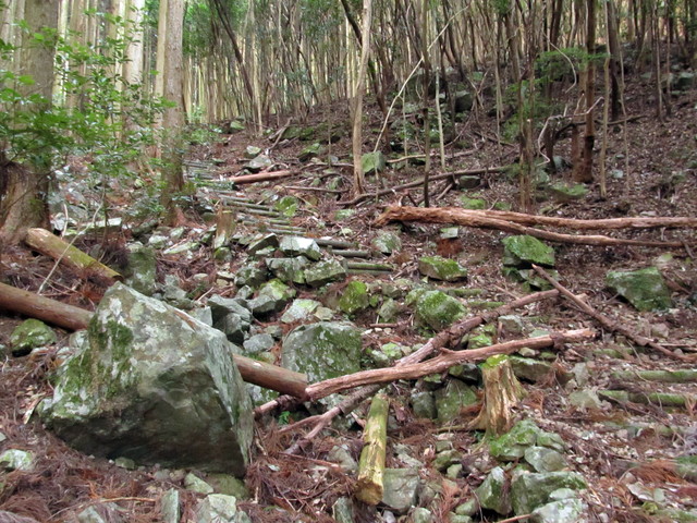 t21_045.jpg