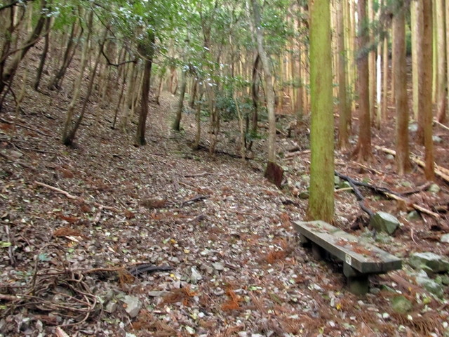 t21_048.jpg