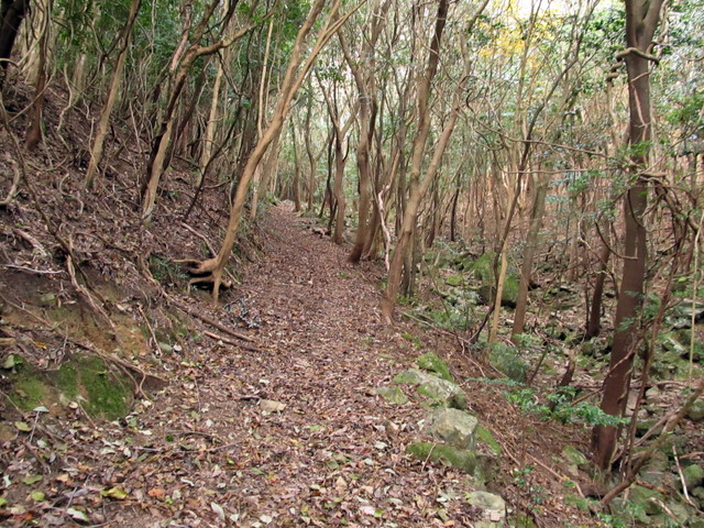 t21_051.jpg