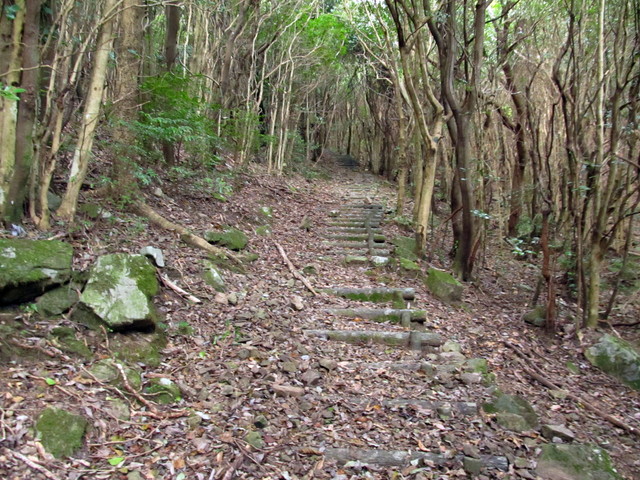 t21_054.jpg