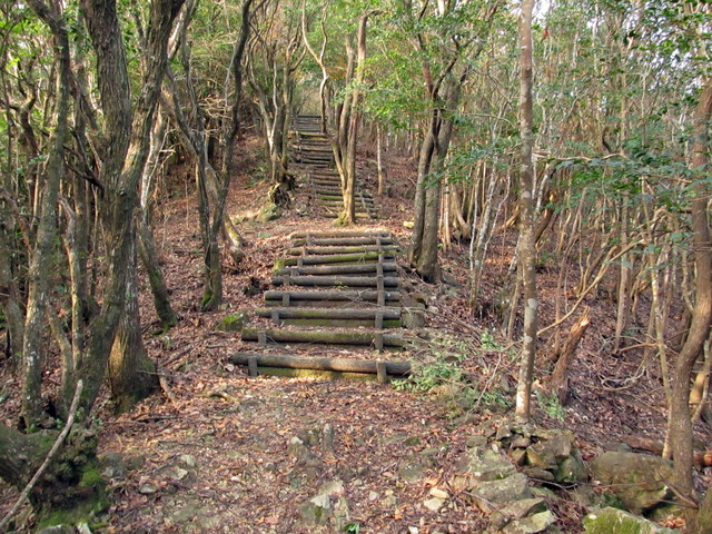 t21_062.jpg