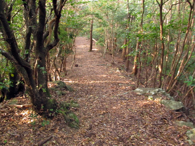 t21_067.jpg