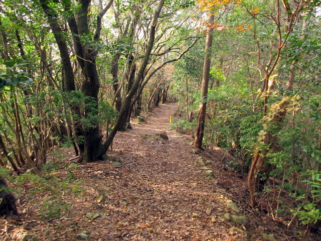 t21_070.jpg
