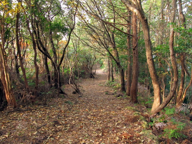 t21_071.jpg