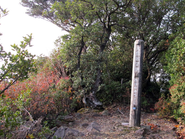 t21_076.jpg