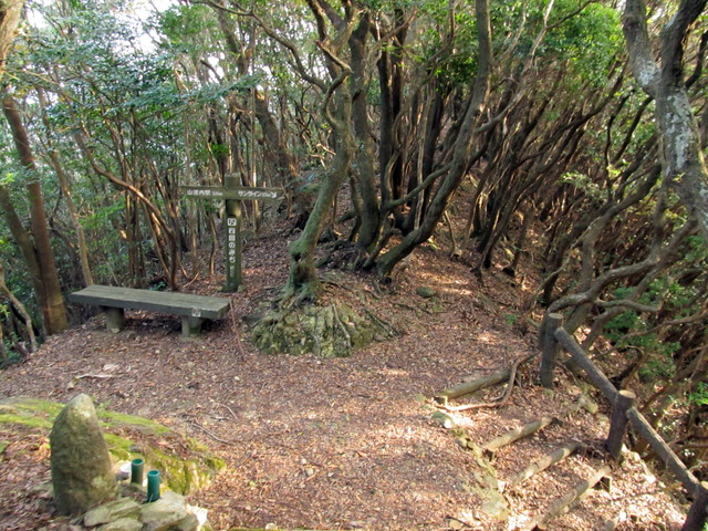t21_082.jpg