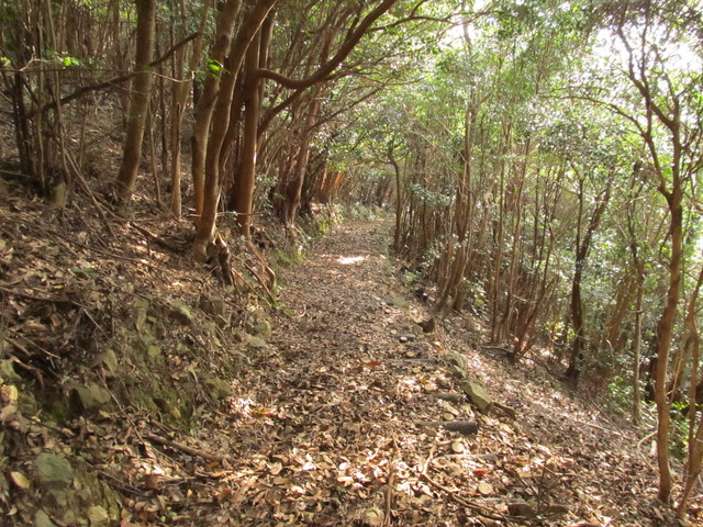 t21_085.jpg