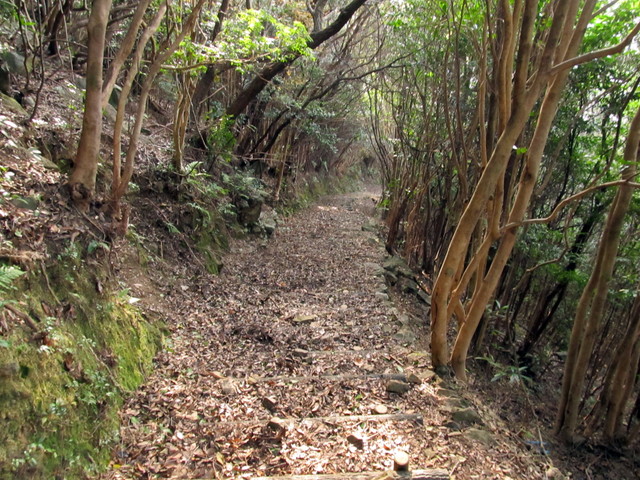 t21_087.jpg