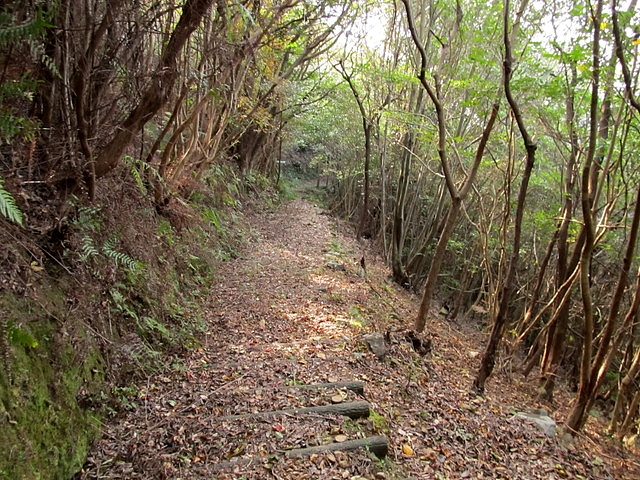 t21_088.jpg