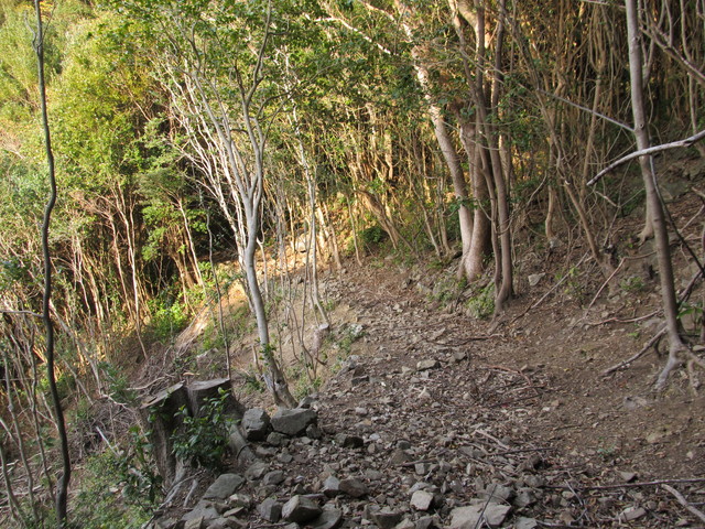 t21_092.jpg