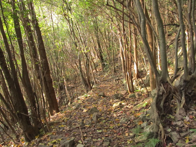 t21_099.jpg