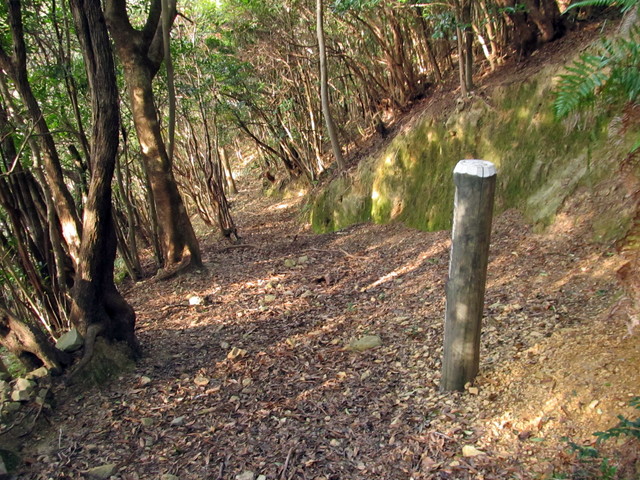 t21_104.jpg