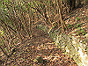 t21_105_thumb.jpg
