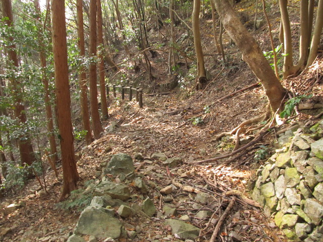 t21_109.jpg