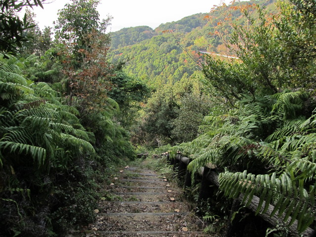 t21_118.jpg
