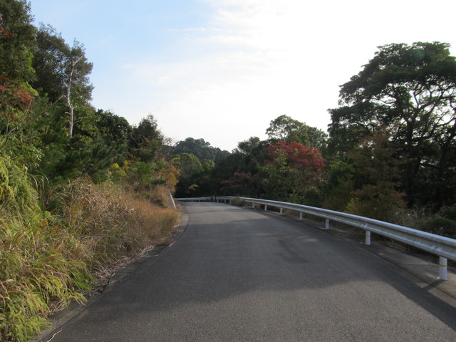 t21_124.jpg